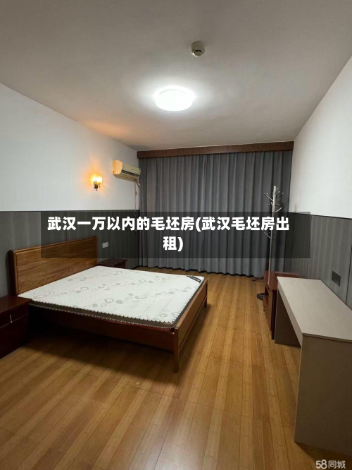 武汉一万以内的毛坯房(武汉毛坯房出租)