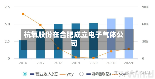 杭氧股份在合肥成立电子气体公司