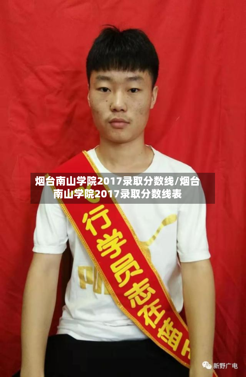 烟台南山学院2017录取分数线/烟台南山学院2017录取分数线表-第2张图片