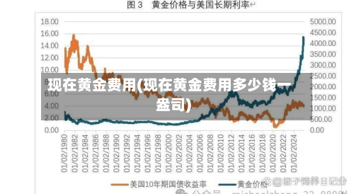 现在黄金费用(现在黄金费用多少钱一盎司)-第3张图片