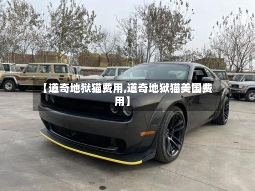 【道奇地狱猫费用,道奇地狱猫美国费用】
