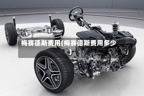 梅赛德斯费用(梅赛德斯费用多少)-第2张图片
