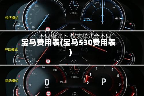 宝马费用表(宝马530费用表)-第2张图片