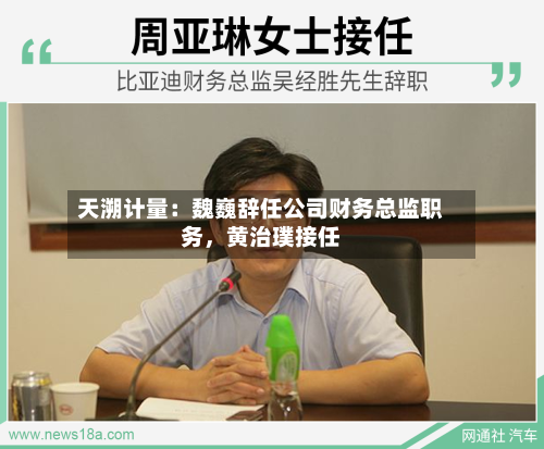 天溯计量：魏巍辞任公司财务总监职务，黄治璞接任-第2张图片
