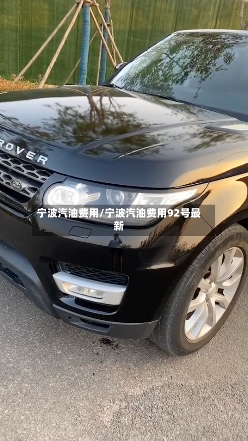 宁波汽油费用/宁波汽油费用92号最新-第2张图片