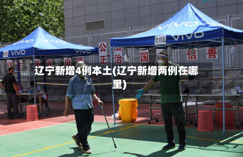 辽宁新增4例本土(辽宁新增两例在哪里)-第2张图片