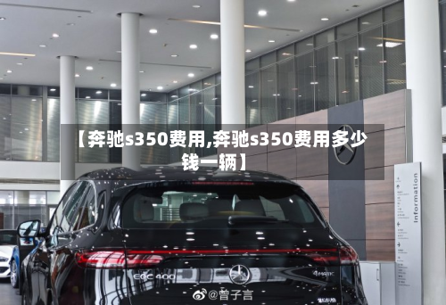 【奔驰s350费用,奔驰s350费用多少钱一辆】-第2张图片