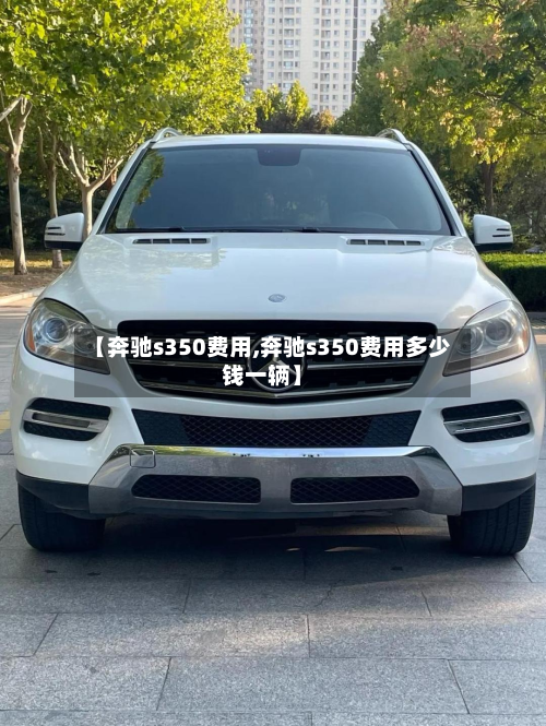 【奔驰s350费用,奔驰s350费用多少钱一辆】-第3张图片