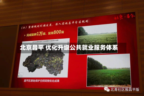 北京昌平 优化升级公共就业服务体系-第2张图片