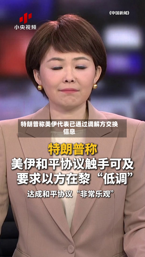 特朗普称美伊代表已通过调解方交换信息