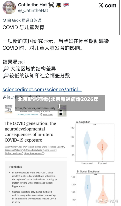 北京新冠病毒(北京新冠病毒2026年)-第3张图片