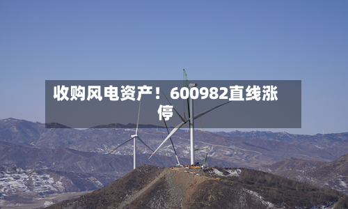 收购风电资产！600982直线涨停