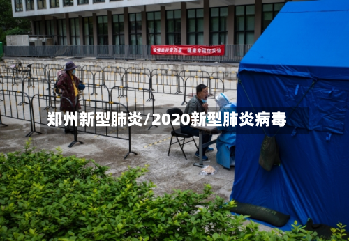 郑州新型肺炎/2020新型肺炎病毒-第2张图片