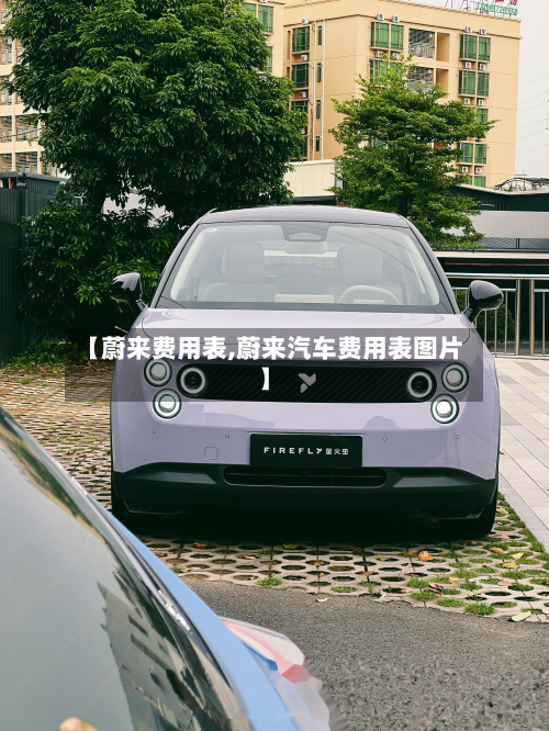 【蔚来费用表,蔚来汽车费用表图片】-第2张图片