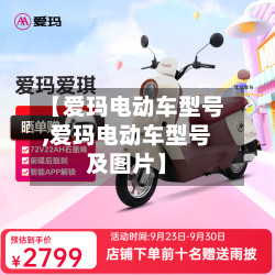 【爱玛电动车型号,爱玛电动车型号及图片】-第3张图片