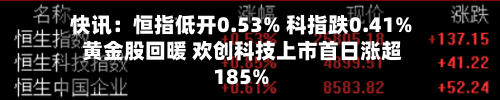 快讯：恒指低开0.53% 科指跌0.41% 黄金股回暖 欢创科技上市首日涨超185%-第1张图片