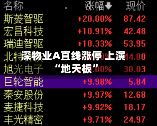 深物业A直线涨停 上演“地天板	”-第3张图片