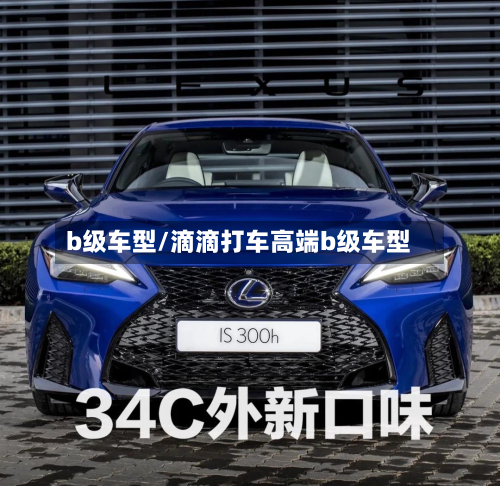 b级车型/滴滴打车高端b级车型-第2张图片