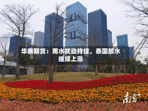 华泰期货：雨水扰动持续	，泰国胶水继续上涨-第1张图片