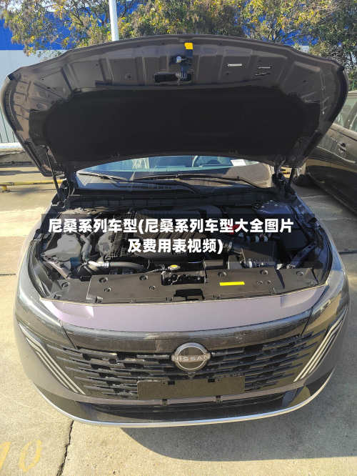 尼桑系列车型(尼桑系列车型大全图片及费用表视频)-第2张图片