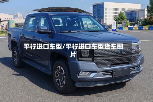 平行进口车型/平行进口车型货车图片
