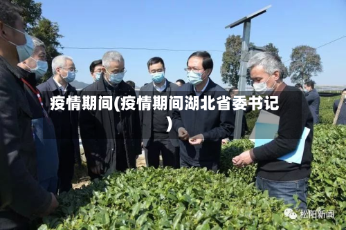疫情期间(疫情期间湖北省委书记)