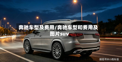 奔驰车型及费用/奔驰车型和费用及图片suv