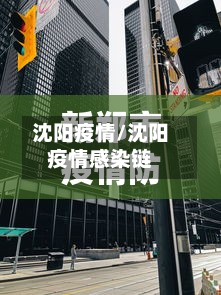 沈阳疫情/沈阳疫情感染链