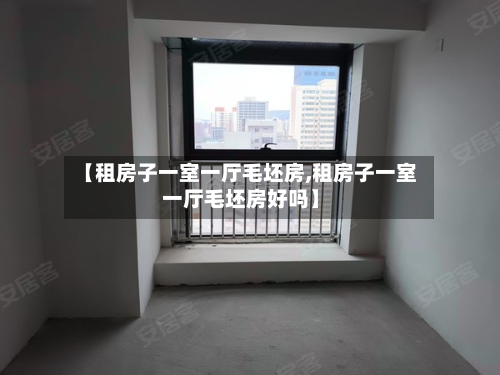 【租房子一室一厅毛坯房,租房子一室一厅毛坯房好吗】