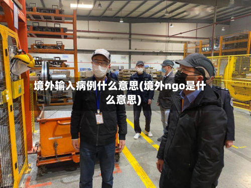 境外输入病例什么意思(境外ngo是什么意思)-第2张图片