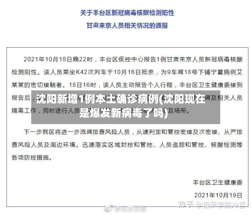 沈阳新增1例本土确诊病例(沈阳现在是爆发新病毒了吗)-第3张图片