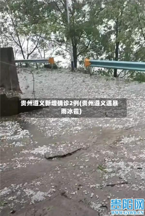 贵州遵义新增确诊2例(贵州遵义遇暴雨冰雹)