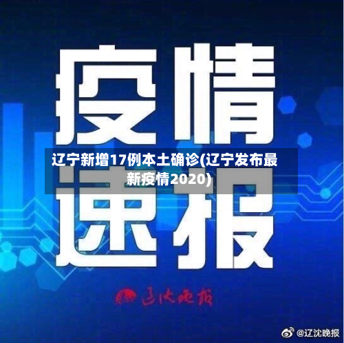 辽宁新增17例本土确诊(辽宁发布最新疫情2020)