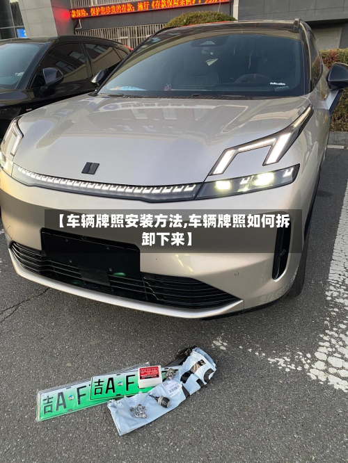 【车辆牌照安装方法,车辆牌照如何拆卸下来】