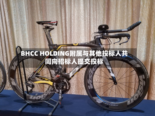 BHCC HOLDING附属与其他投标人共同向招标人提交投标-第2张图片