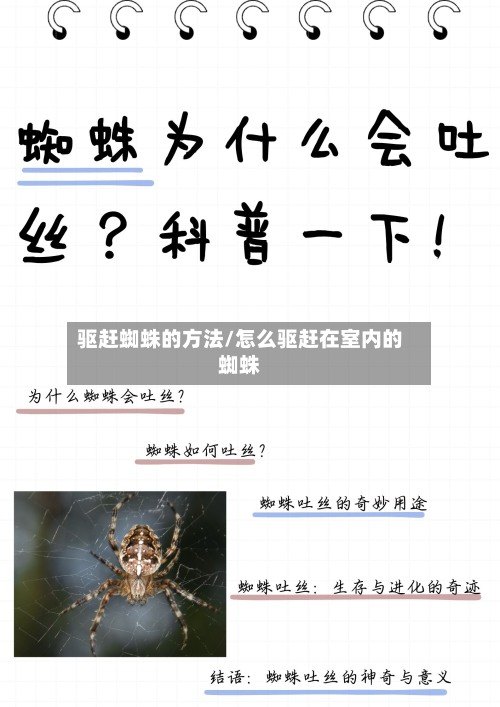 驱赶蜘蛛的方法/怎么驱赶在室内的蜘蛛-第3张图片