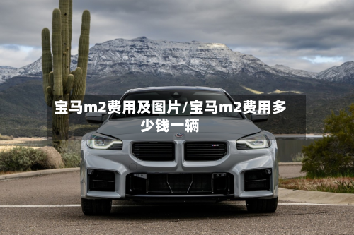 宝马m2费用及图片/宝马m2费用多少钱一辆-第2张图片