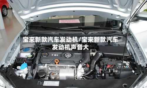 宝来新款汽车发动机/宝来新款汽车发动机声音大