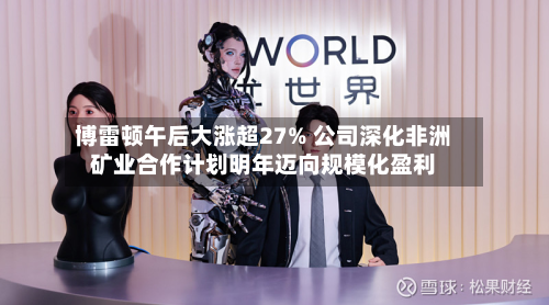 博雷顿午后大涨超27% 公司深化非洲矿业合作计划明年迈向规模化盈利-第3张图片