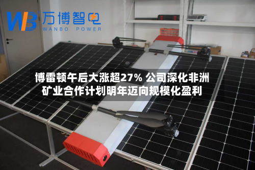 博雷顿午后大涨超27% 公司深化非洲矿业合作计划明年迈向规模化盈利-第2张图片
