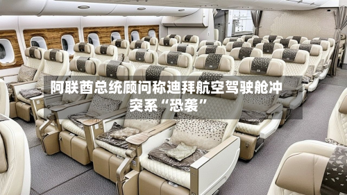 阿联酋总统顾问称迪拜航空驾驶舱冲突系“恐袭	”-第3张图片