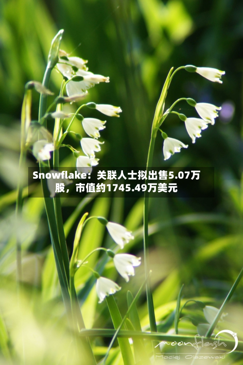 Snowflake：关联人士拟出售5.07万股	，市值约1745.49万美元-第2张图片