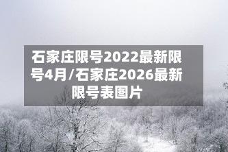 石家庄限号2022最新限号4月/石家庄2026最新限号表图片-第2张图片