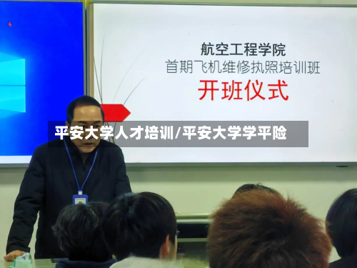 平安大学人才培训/平安大学学平险-第2张图片