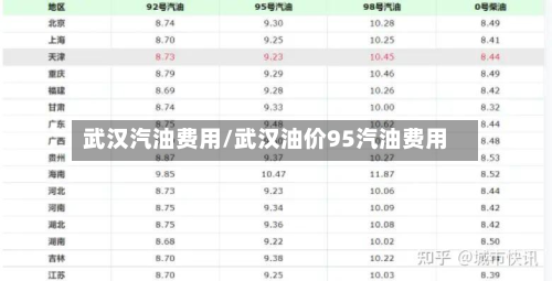 武汉汽油费用/武汉油价95汽油费用