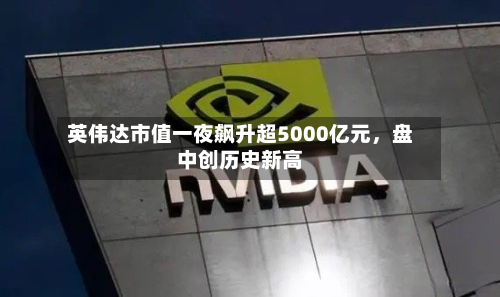 英伟达市值一夜飙升超5000亿元，盘中创历史新高-第3张图片