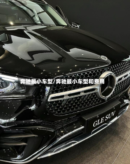 奔驰最小车型/奔驰最小车型和费用-第3张图片