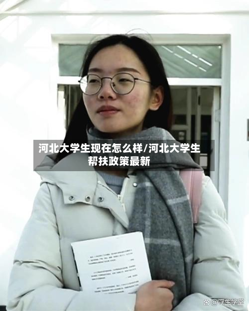 河北大学生现在怎么样/河北大学生帮扶政策最新-第2张图片