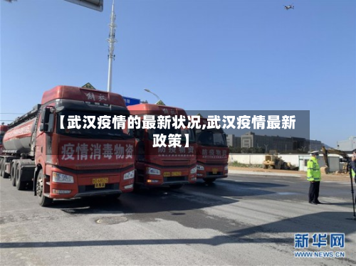 【武汉疫情的最新状况,武汉疫情最新政策】-第2张图片