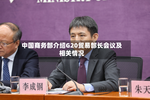 中国商务部介绍G20贸易部长会议及相关情况-第3张图片